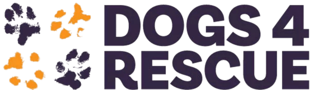 Lightfoot Logo