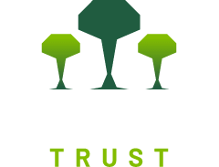 Lightfoot Logo